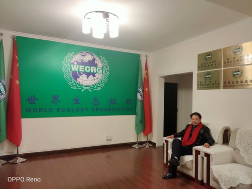 惠泽天下:惠泽天下全网资料免费大全