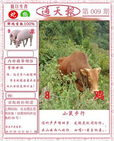 黄大仙精准一肖一码今天生肖:黄大仙最准一肖中特