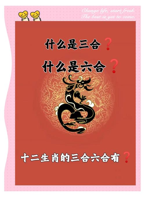 龙三合和六个合生肖:龙三合和六个合生肖哪个最好