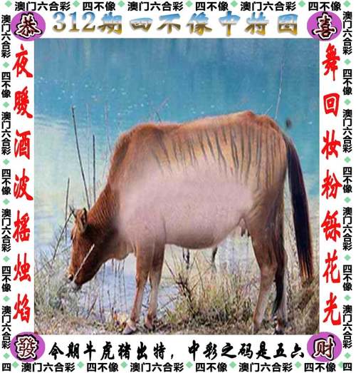 香港最准100‰一肖中特凤凰资料:香港一肖中100%期期准